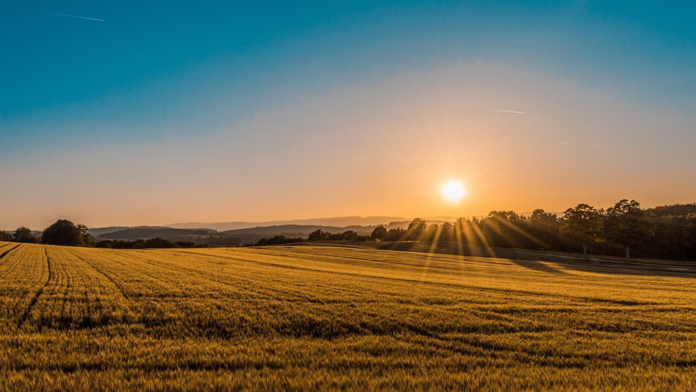 La campagna di Leverano